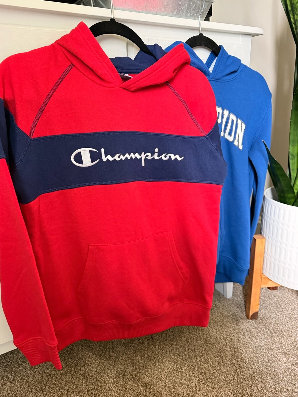 Champion Red and Blue Hoodie Bundle